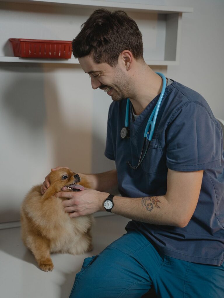 Télésecrétariat pour vétérinaires